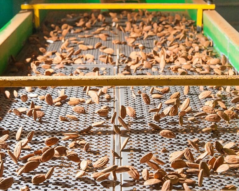 Almond processing