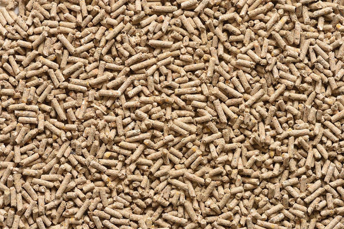 Closeup of animal feed