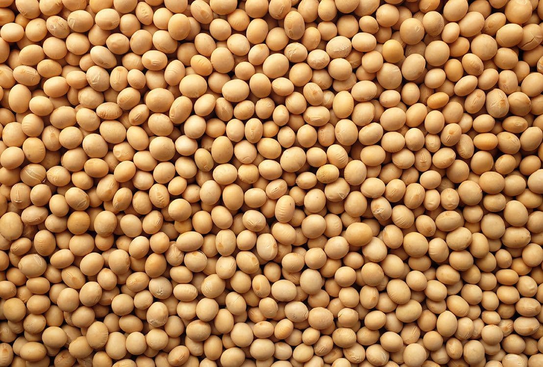 Soya beans