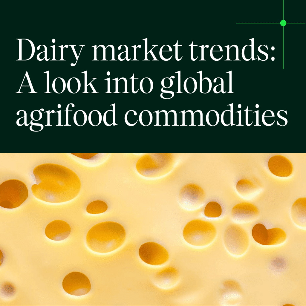 Dairy market trends: A look into global agrifood commodities