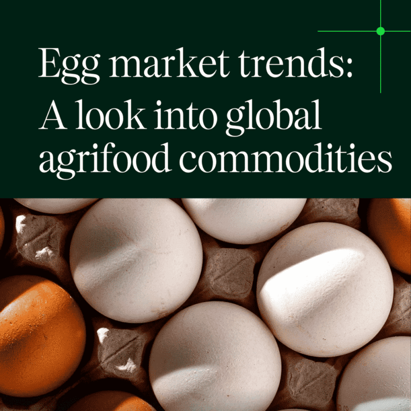 Egg market trends