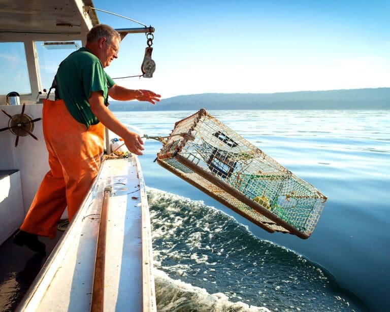 Man in overalls standing on boat throwing lobster trap into water